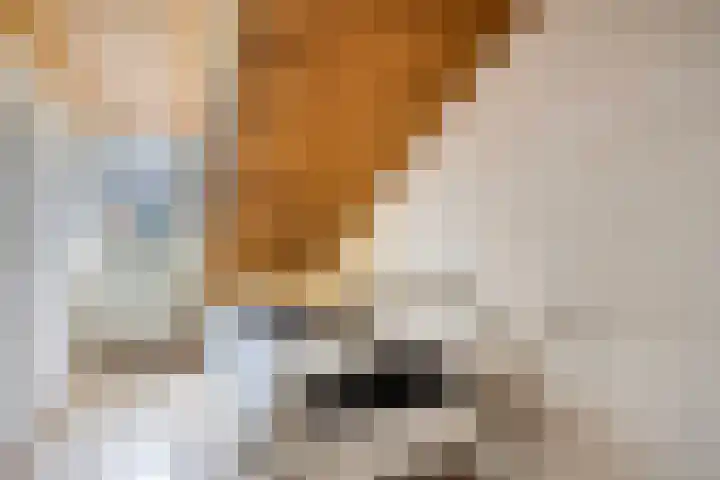 Heer Willemstraat 2 Horn thumbnail 38