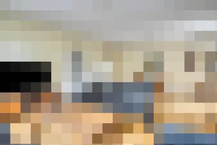 Heer Willemstraat 2 Horn thumbnail 4