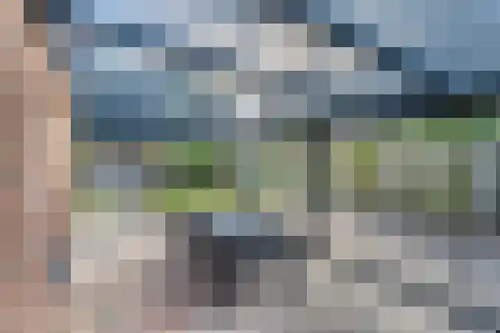 Heer Willemstraat 2 Horn thumbnail 41