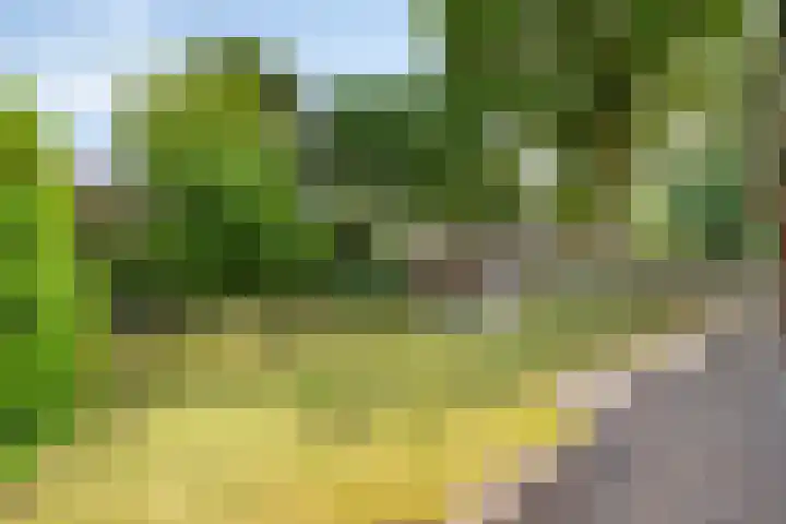 Heer Willemstraat 2 Horn thumbnail 45