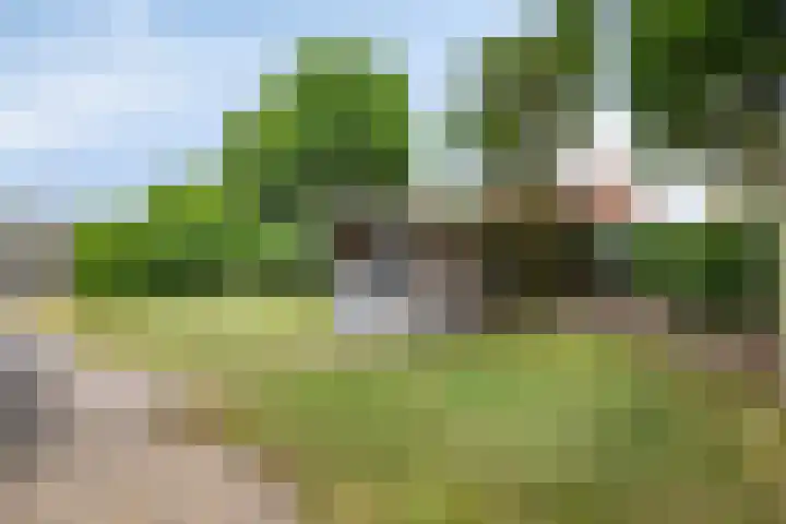 Heer Willemstraat 2 Horn thumbnail 46