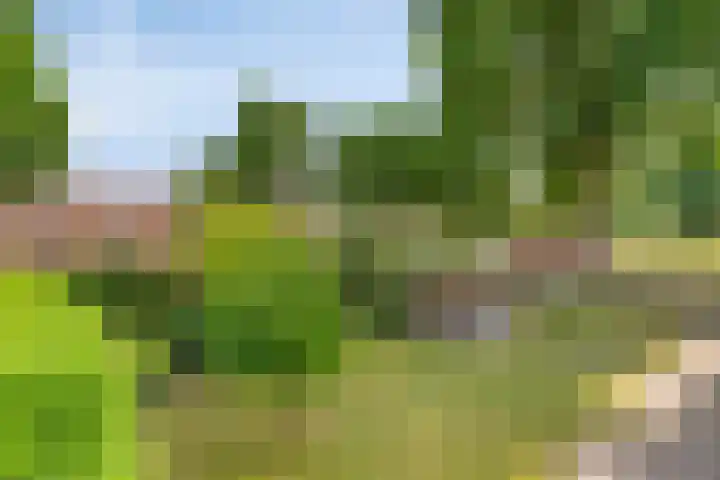 Heer Willemstraat 2 Horn thumbnail 47