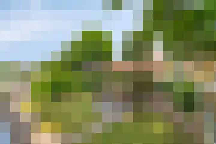 Heer Willemstraat 2 Horn thumbnail 48
