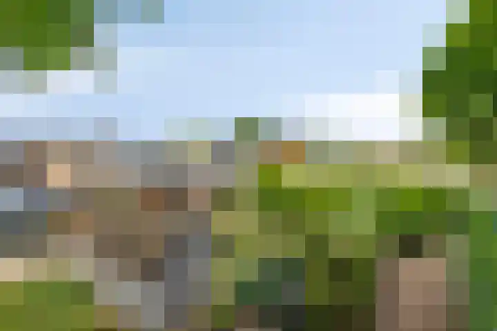 Heer Willemstraat 2 Horn thumbnail 49