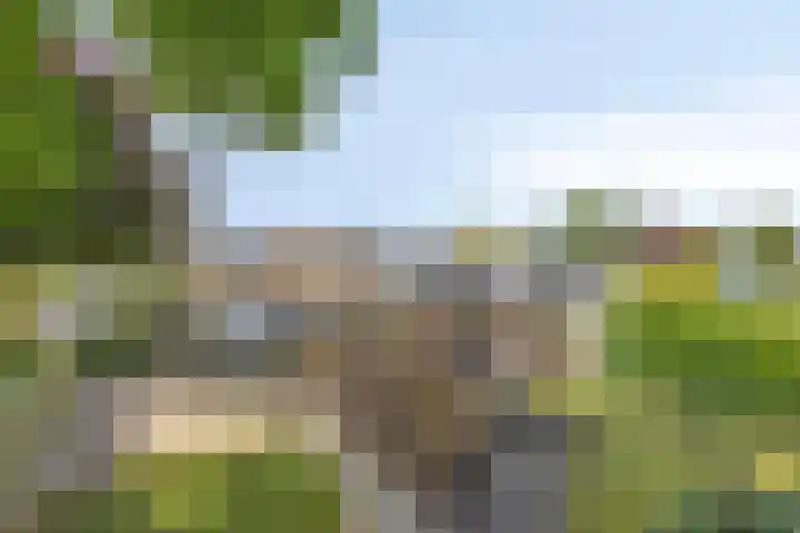 Heer Willemstraat 2 Horn thumbnail 50