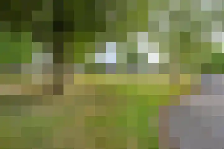 Heer Willemstraat 2 Horn thumbnail 51