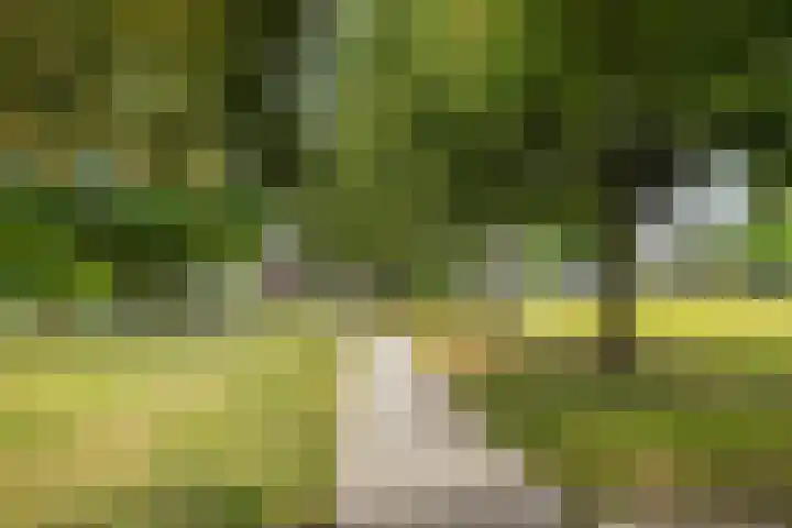 Heer Willemstraat 2 Horn thumbnail 52