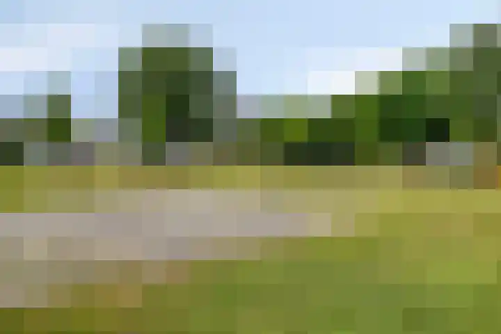 Heer Willemstraat 2 Horn thumbnail 53