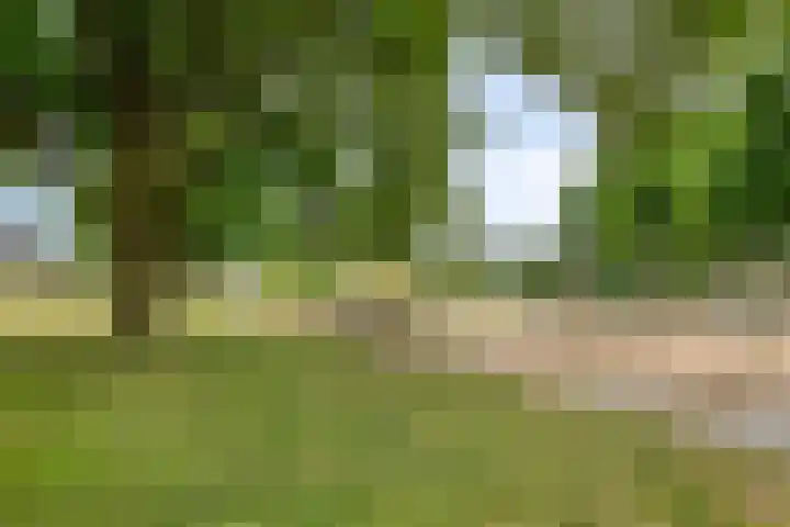 Heer Willemstraat 2 Horn thumbnail 54