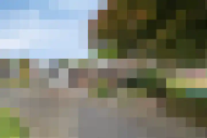 Heer Willemstraat 2 Horn thumbnail 58