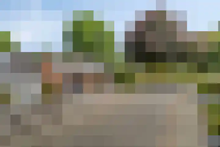 Heer Willemstraat 2 Horn thumbnail 59