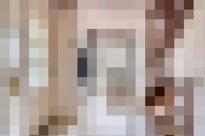 Heer Willemstraat 2 Horn thumbnail 7
