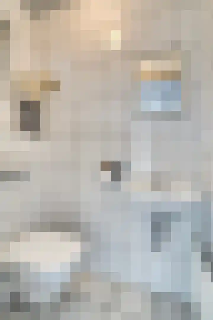 Heer Willemstraat 2 Horn thumbnail 9