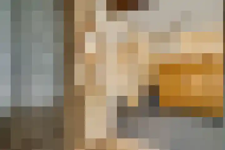 Heer Willemstraat 5 Horn thumbnail 11