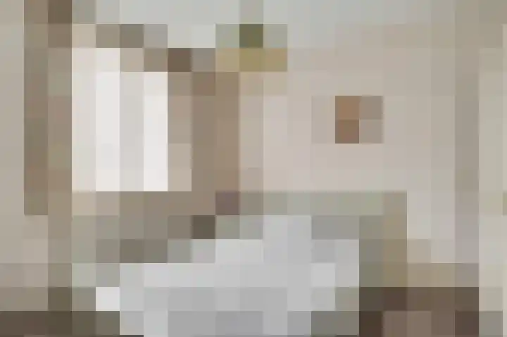 Heer Willemstraat 5 Horn thumbnail 18