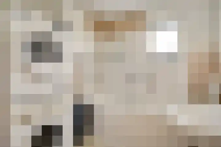 Heer Willemstraat 5 Horn thumbnail 20