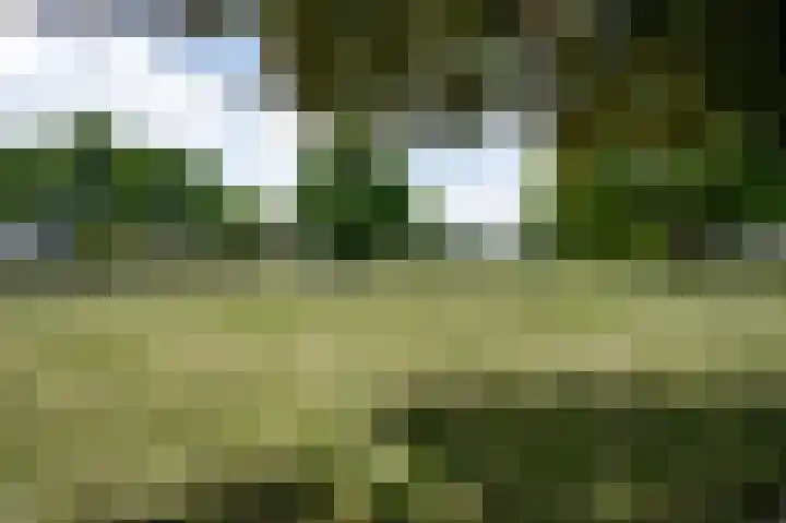 Heer Willemstraat 5 Horn thumbnail 22