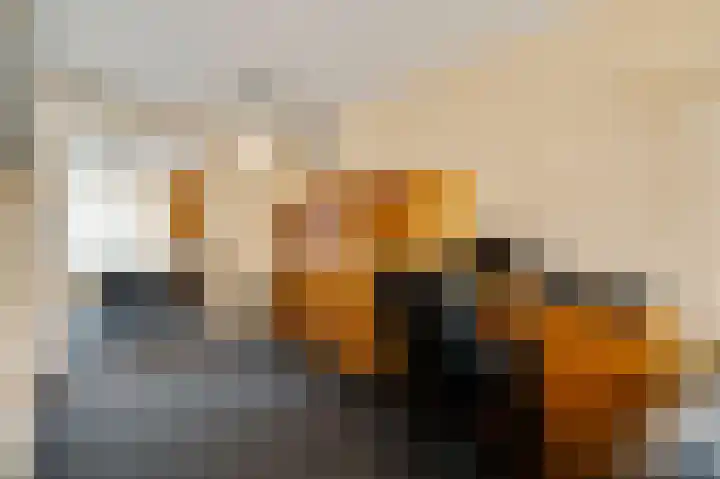 Heer Willemstraat 5 Horn thumbnail 6