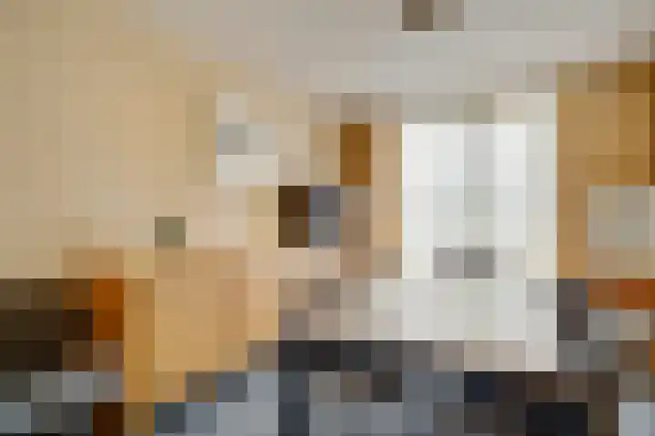 Heer Willemstraat 5 Horn thumbnail 7