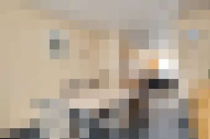 Heer Willemstraat 5 Horn thumbnail 8