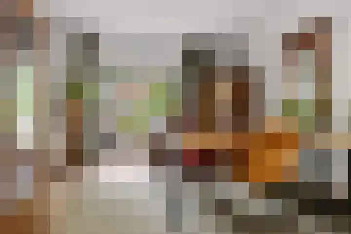 Heer Willemstraat 6 Horn thumbnail 11