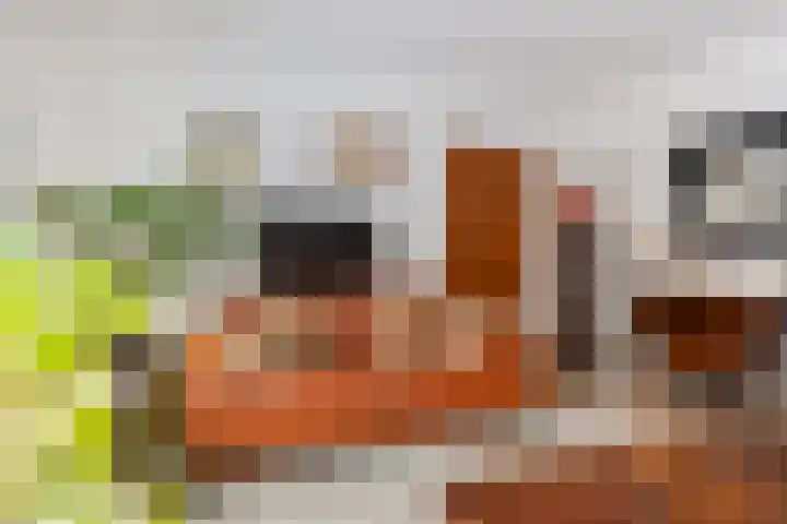 Heer Willemstraat 6 Horn thumbnail 14