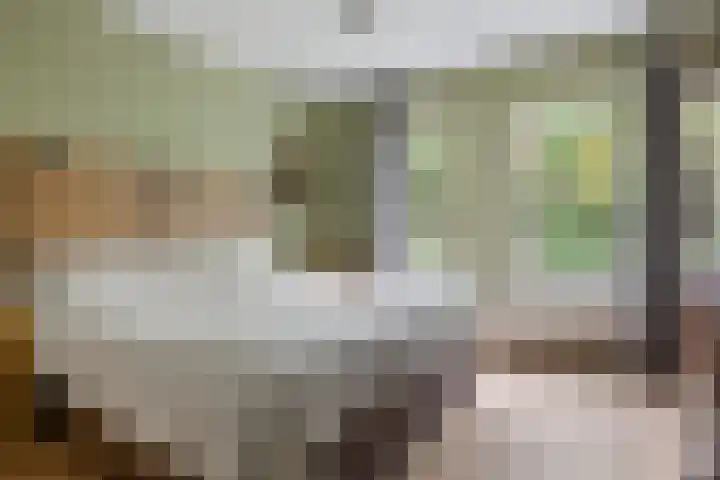 Heer Willemstraat 6 Horn thumbnail 27