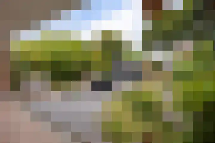 Heer Willemstraat 6 Horn thumbnail 33