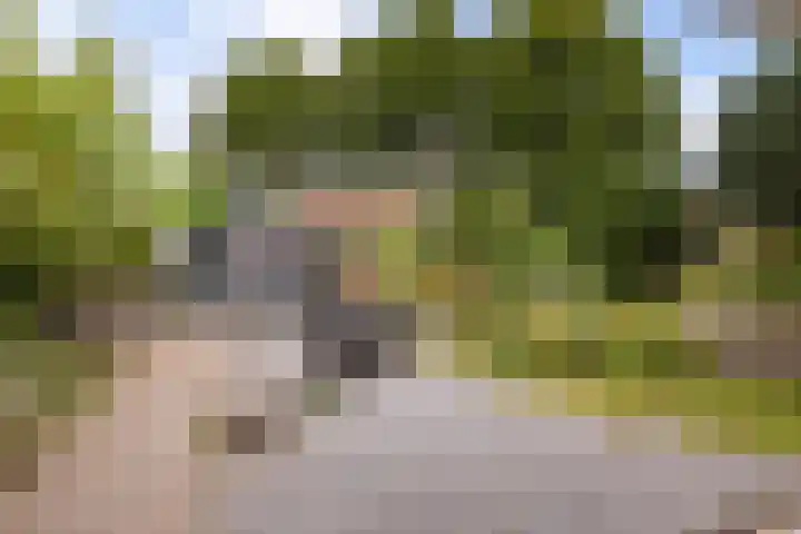 Heer Willemstraat 6 Horn thumbnail 34