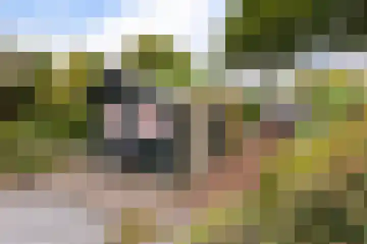 Heer Willemstraat 6 Horn thumbnail 36