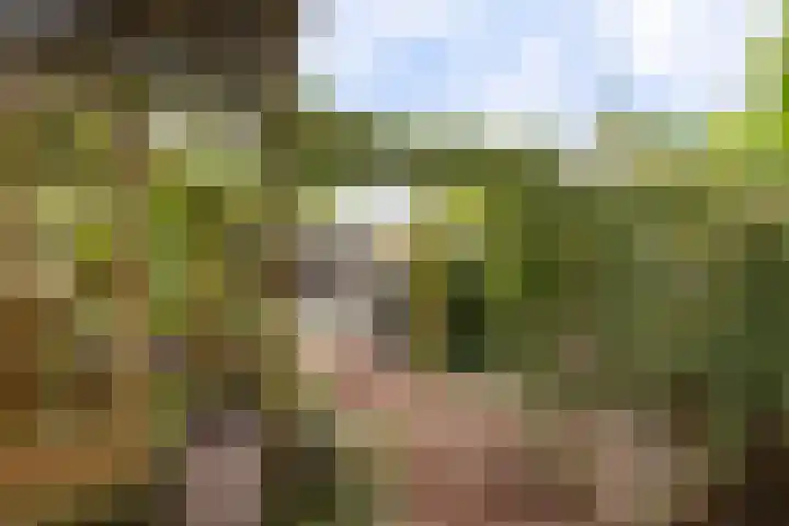 Heer Willemstraat 6 Horn thumbnail 39