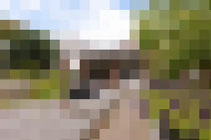Heer Willemstraat 6 Horn thumbnail 4