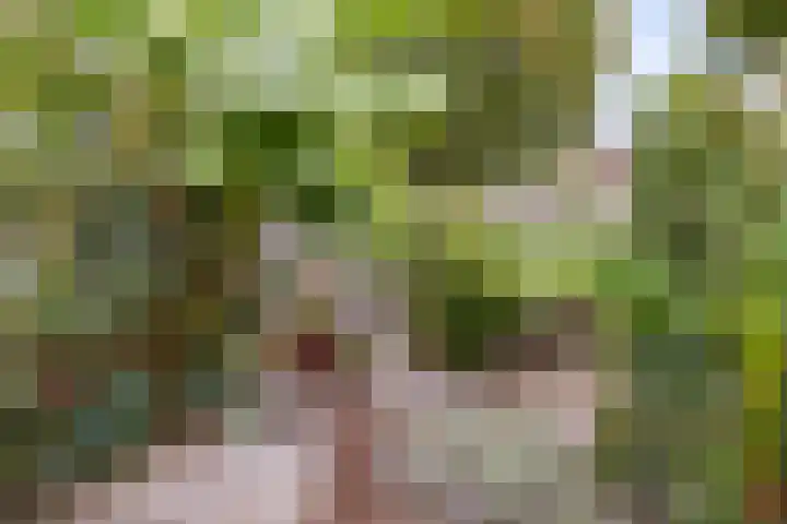 Heer Willemstraat 6 Horn thumbnail 40