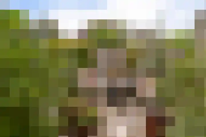 Heer Willemstraat 6 Horn thumbnail 41