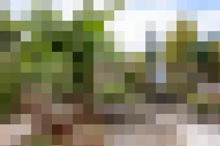 Heer Willemstraat 6 Horn thumbnail 42