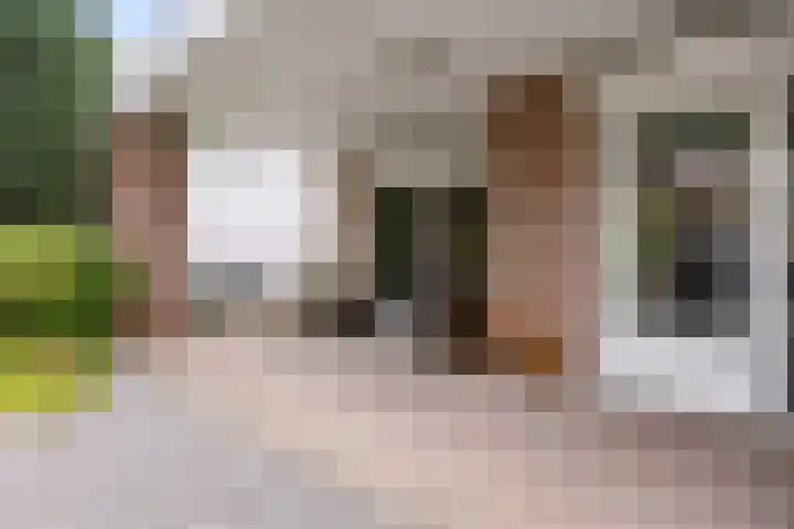 Heer Willemstraat 6 Horn thumbnail 44