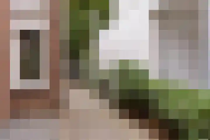 Heer Willemstraat 6 Horn thumbnail 45