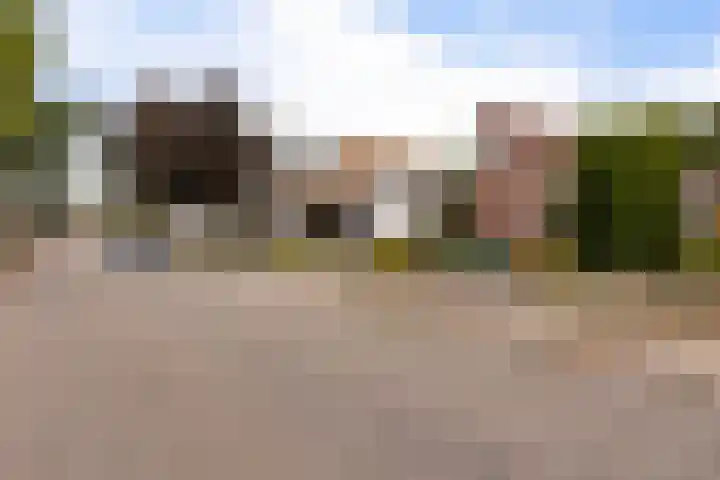 Heer Willemstraat 6 Horn thumbnail 49