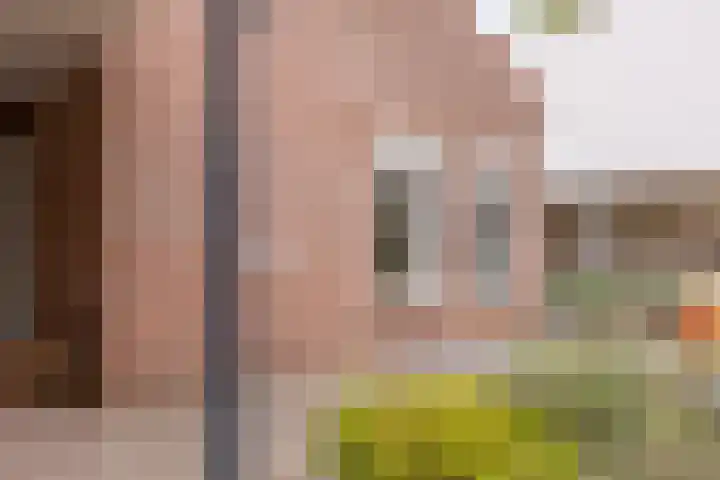 Heer Willemstraat 6 Horn thumbnail 50