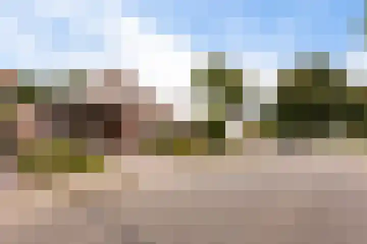 Heer Willemstraat 6 Horn thumbnail 51