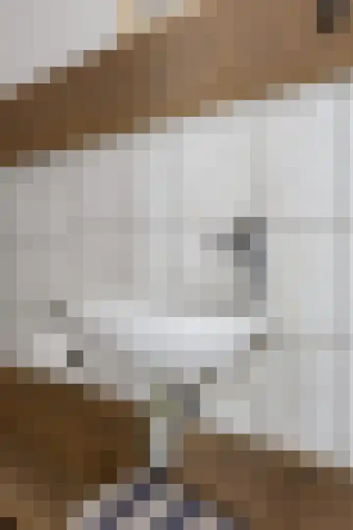 Heer Willemstraat 6 Horn thumbnail 8