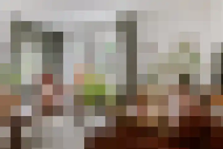 Heer Willemstraat 6 Horn thumbnail 9