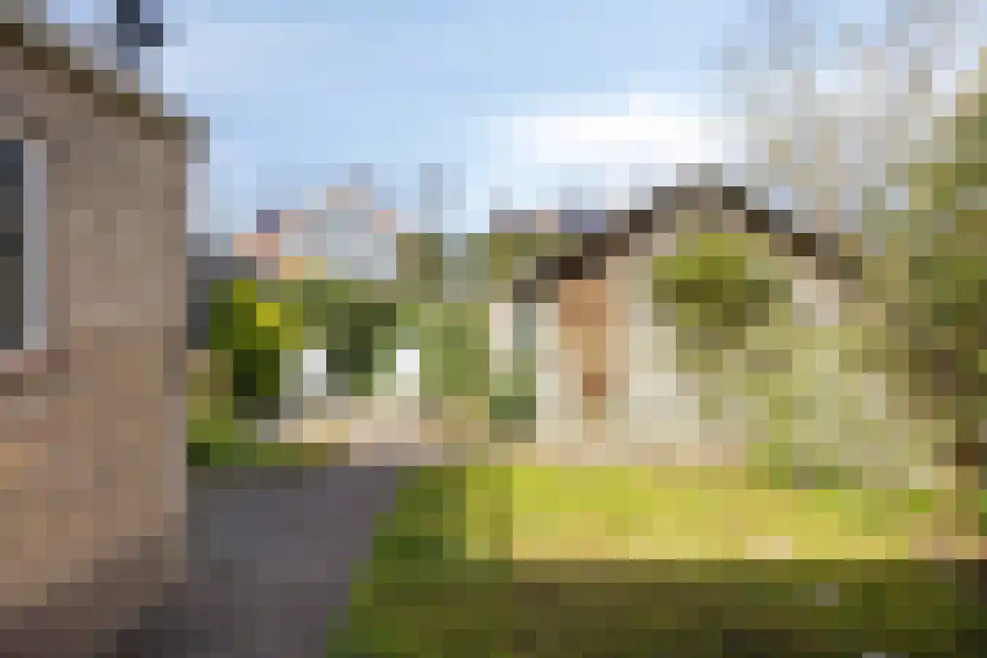 Heer Wissestraat 13 's-Heer Hendrikskinderen thumbnail 19