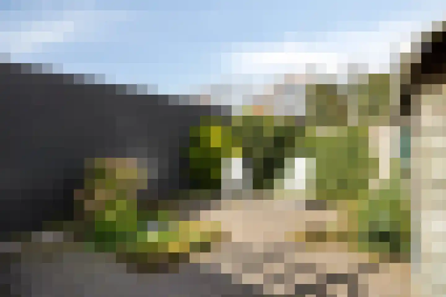 Heer Wissestraat 13 's-Heer Hendrikskinderen thumbnail 22