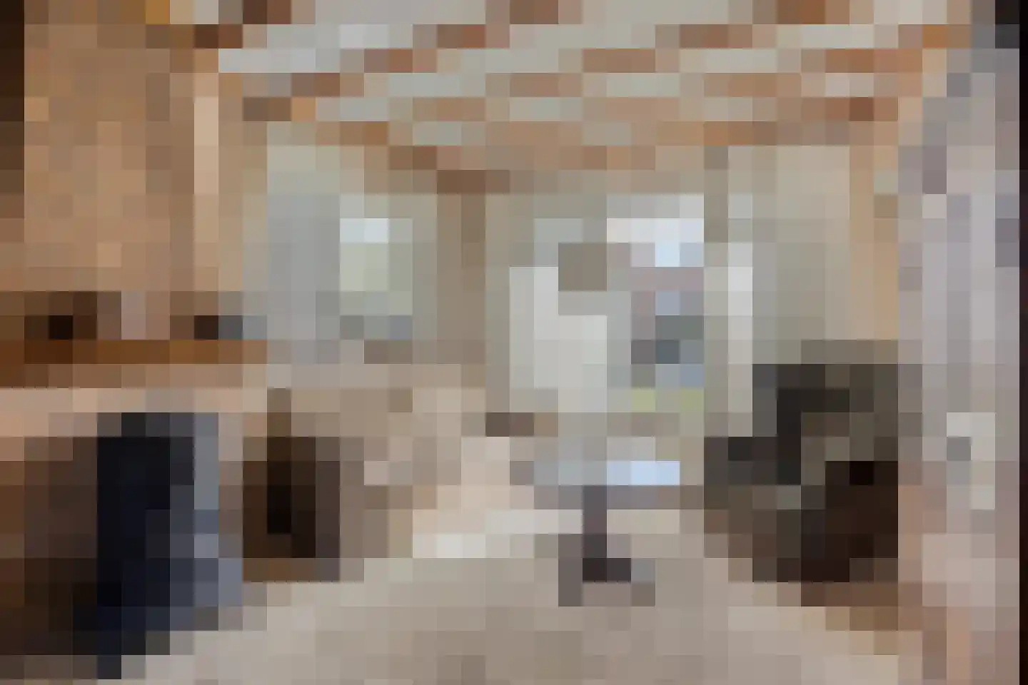 Heer Wissestraat 13 's-Heer Hendrikskinderen thumbnail 4