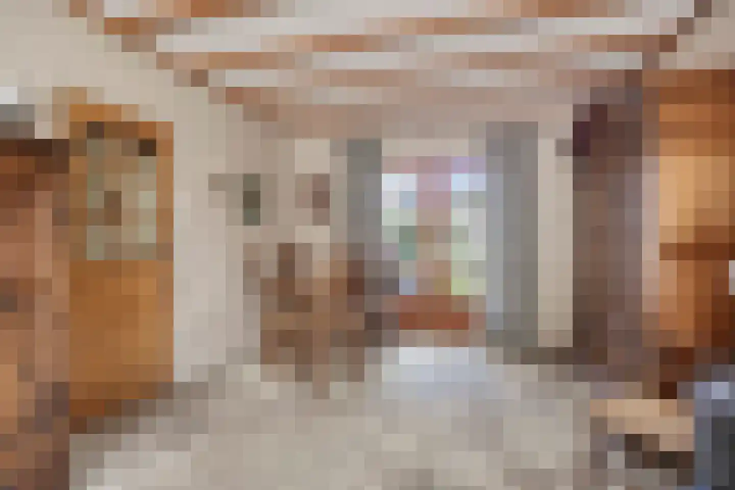 Heer Wissestraat 13 's-Heer Hendrikskinderen thumbnail 5