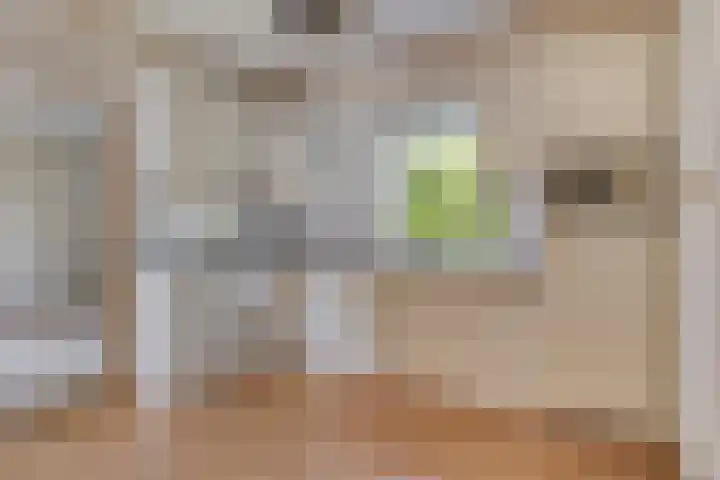 Heerbaan 10 Millingen aan de Rijn thumbnail 7