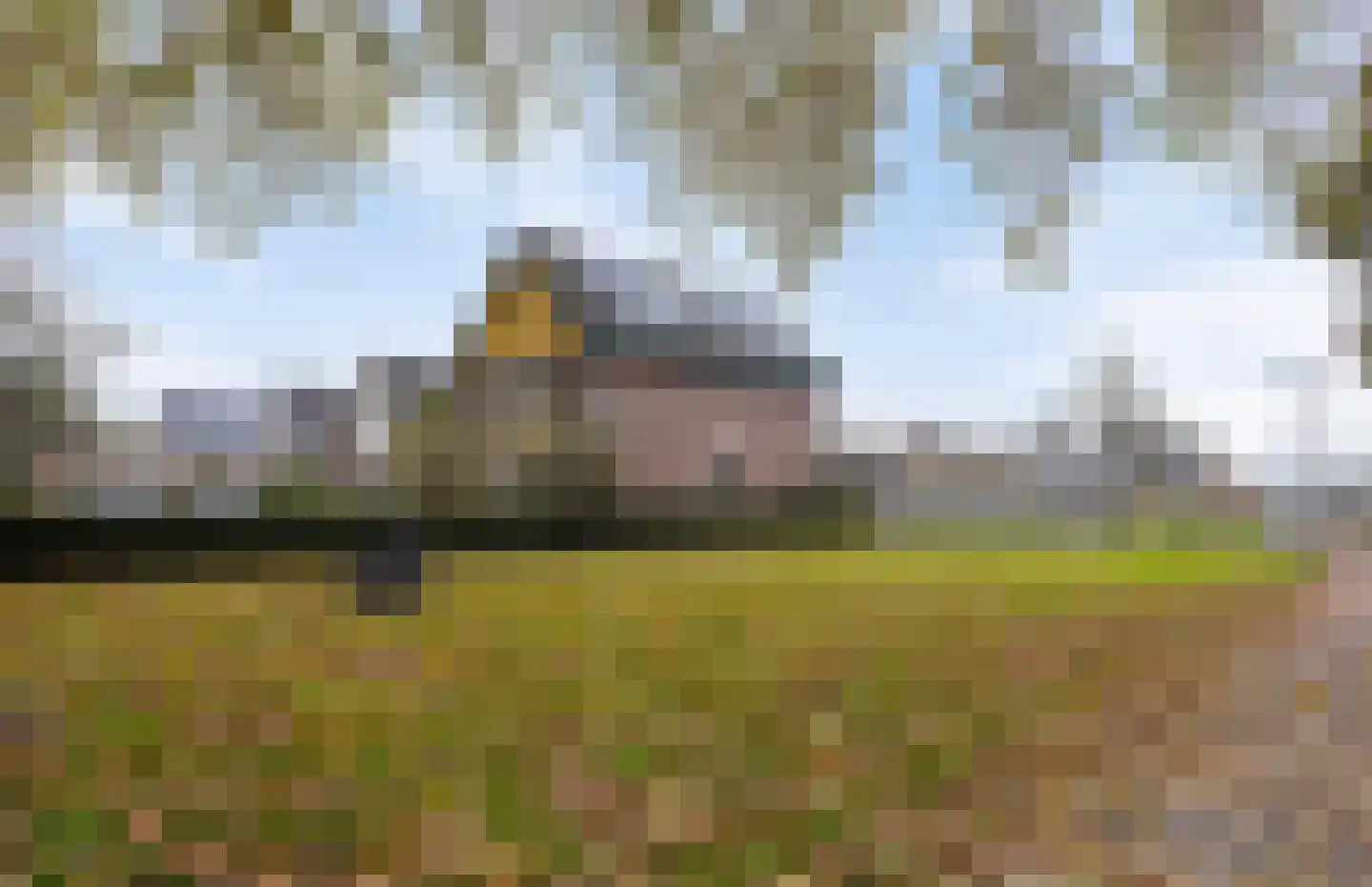 Heerbaan 124 Millingen aan de Rijn thumbnail 6