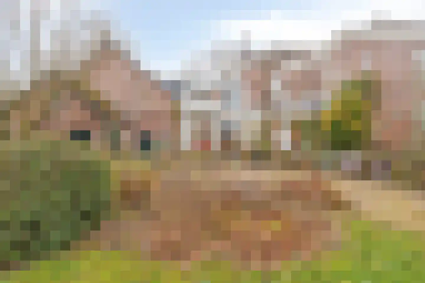 Heerbaan 179 a Millingen aan de Rijn thumbnail 40