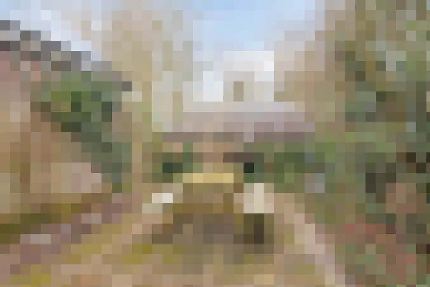 Heerbaan 179 a Millingen aan de Rijn thumbnail 42